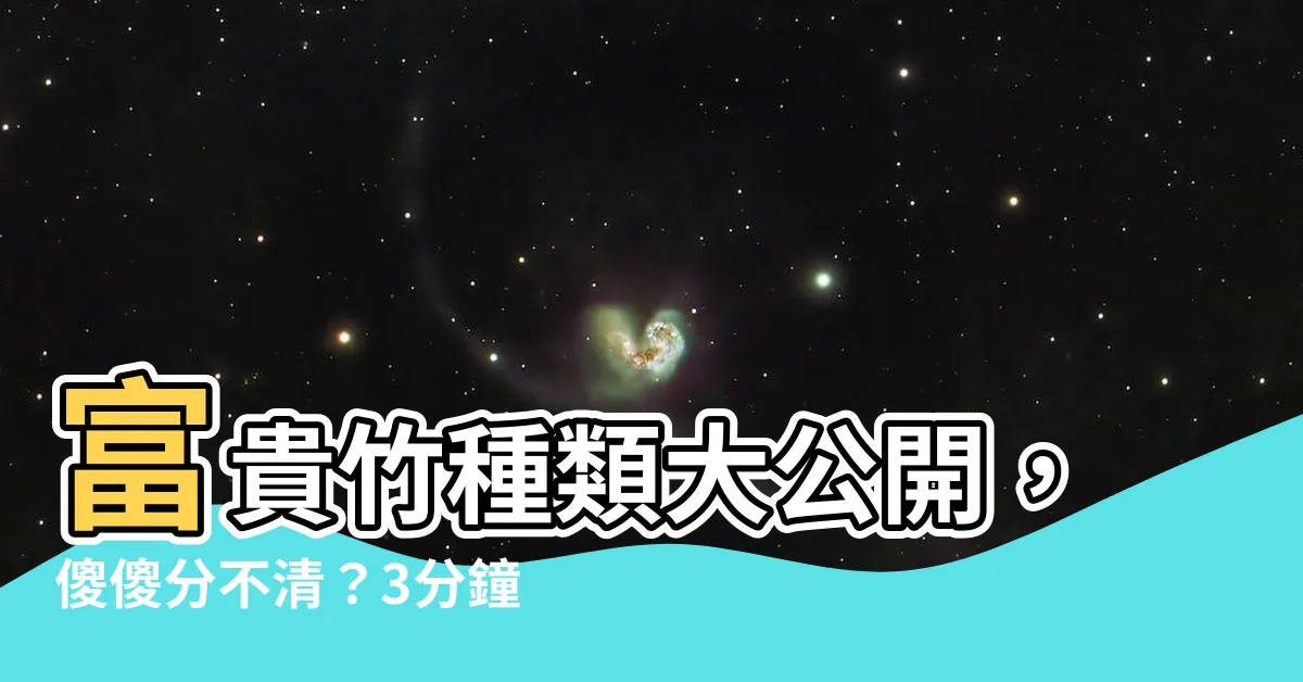 【富貴竹種類】富貴竹種類大公開，傻傻分不清？3分鐘搞懂！