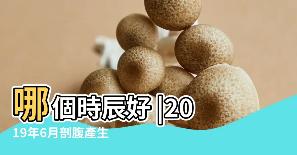 哪個時辰好 |2019年6月剖腹產生孩子吉日吉時 |2019年豬寶寶幾月出生最好 |【2019年6月9日生寶寶時辰好】