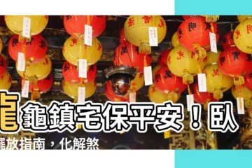 【龍龜擺放卧室】龍龜鎮宅保平安！卧室擺放指南，化解煞氣、招財進寶
