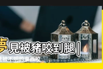 【夢見被小動物咬腿】夢見被豬咬到腿 |夢見被不明的東西咬腳 |夢見被狗咬了小腿 |