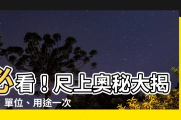 【尺上】必看！尺上奧秘大揭秘：單位、用途一次搞懂！