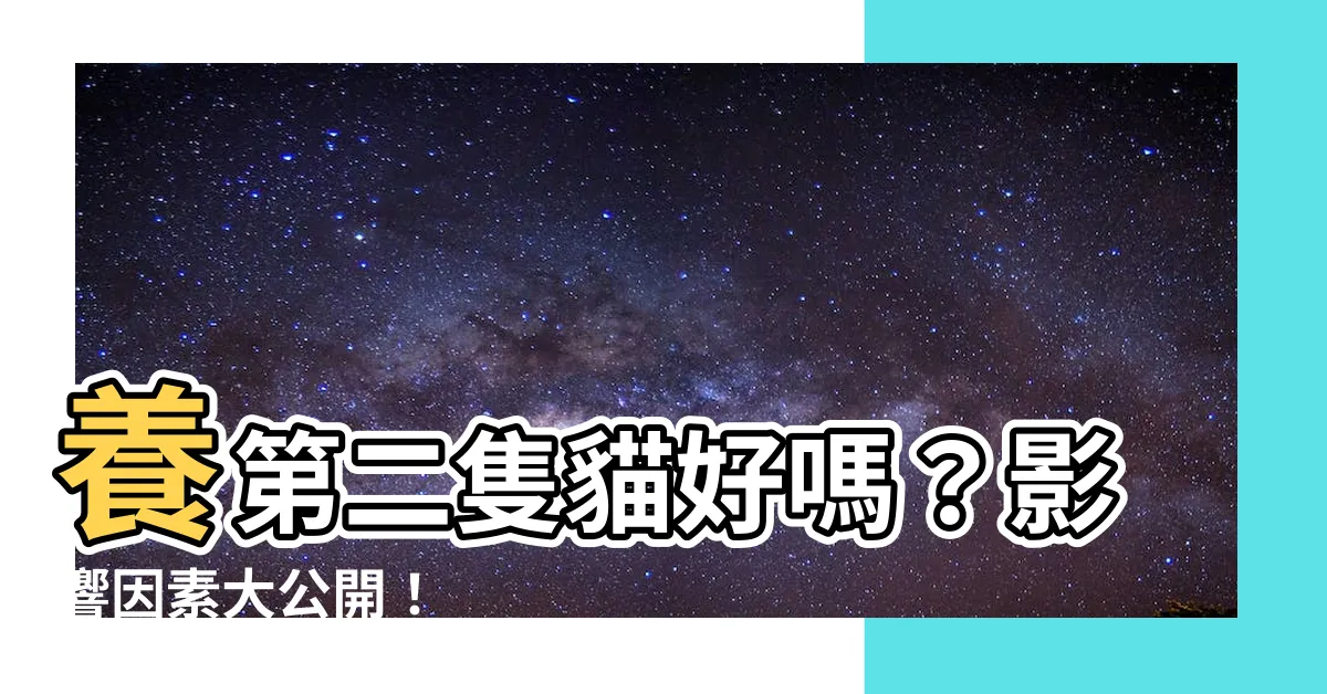 【養兩隻貓好嗎】養第二隻貓好嗎？影響因素大公開！