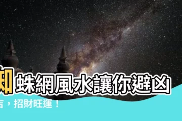 【蜘蛛網風水】蜘蛛網風水讓你避兇趨吉，招財旺運！