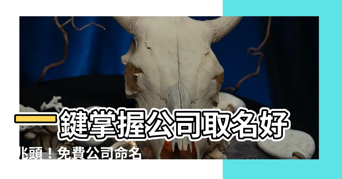 【公司命名查詢】一鍵掌握公司取名好兆頭！免費公司命名查詢系統上線