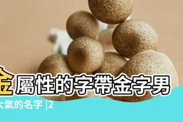【2019缺金的男孩名字的字】金屬性的字帶金字男孩大氣的名字 |2019五行缺金的男孩名字 |2019男寶寶五行缺金取名 |