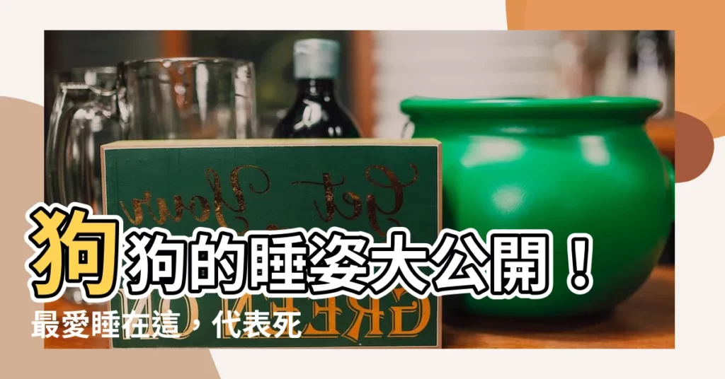 【狗狗喜歡睡門口】狗狗的睡姿大公開！最愛睡在這，代表死心塌地愛你！
