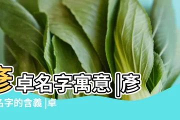【卓彥名字含義】彥卓名字寓意 |彥卓名字的含義 |卓彥名字的含義 |