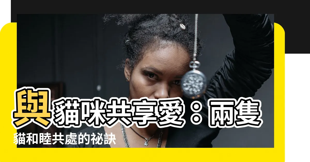【兩隻貓】與貓咪共享愛：兩隻貓和睦共處的秘訣