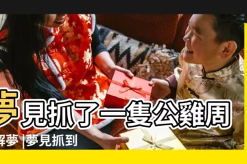【夢見睡覺抓做一公雞】夢見抓了一隻公雞周公解夢 |夢見抓到一隻雞 |夢見抓到一隻公雞 |