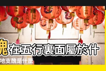 【醜在五行代表什麼意思是什麼意思】醜在五行裏面屬於什麼 |地支醜是什麼意思 |