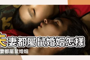 【兩個鼠合適嗎】夫妻都屬鼠婚姻怎樣 |夫妻都屬鼠婚姻怎樣 |兩個屬鼠的人在一起合不合 |