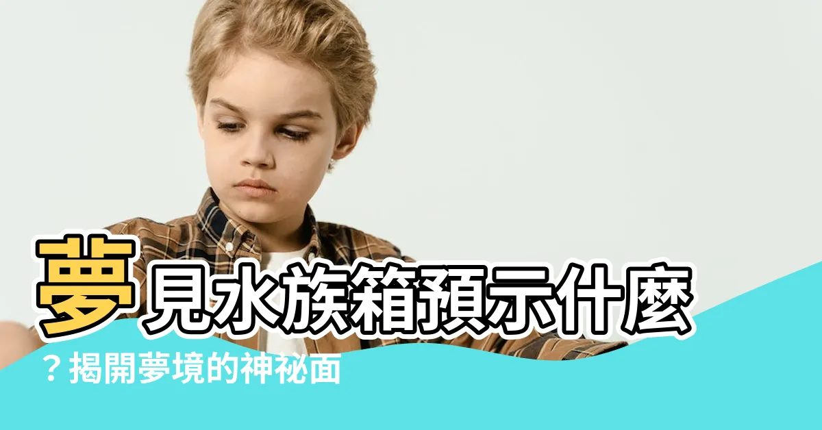 【夢見水族箱】夢見水族箱預示什麼？揭開夢境的神秘面紗