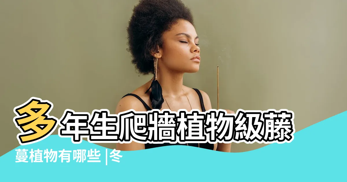 【常綠爬藤植物】多年生爬牆植物級藤蔓植物有哪些 |冬季同樣美麗的6種常綠爬藤植物 |庭院花棚架花廊爬藤攀蔓植物推薦 |