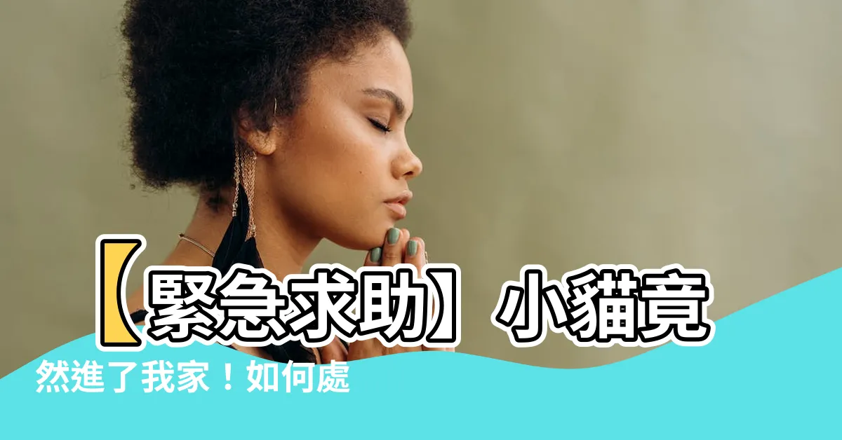 【小貓跑進家裡】【緊急求助】小貓竟然進了我家！如何處理？