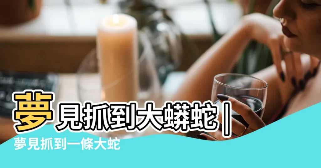 夢見抓到大蟒蛇 |夢見抓到一條大蛇 |夢見抓到蟒蛇 |【做夢抓了一條大蟒蛇】