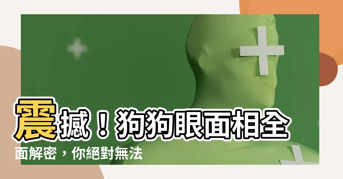 【狗狗眼面相】震撼！狗狗眼面相全面解密，你絕對無法想像的神奇效果曝光！