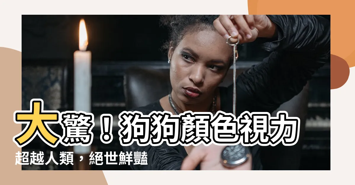 【狗狗顏色】大驚！狗狗顏色視力超越人類，絕世鮮豔狗狗世界曝光！