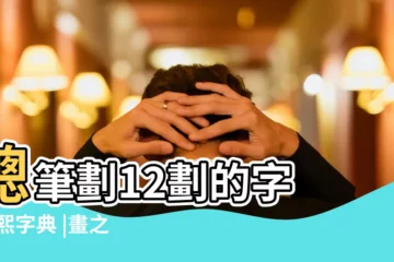 【12畫姓名用字解釋】總筆劃12劃的字 |康熙字典 |畫之漢字 |