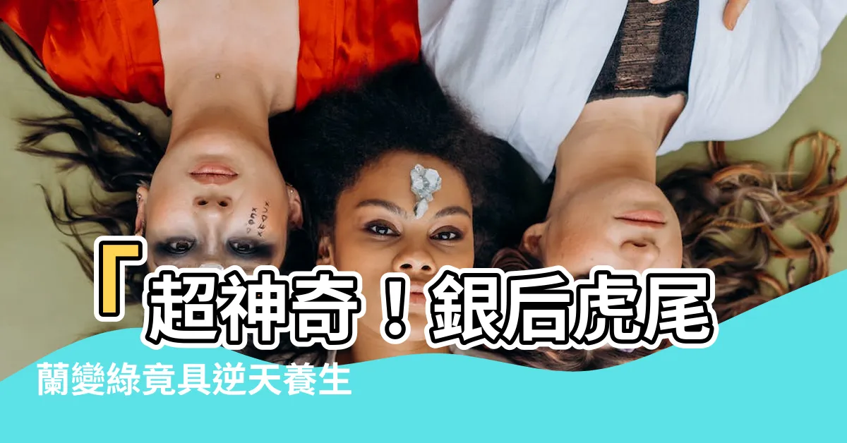 【銀後虎尾蘭變綠】「超神奇！銀後虎尾蘭變綠竟具逆天養生效果，網友全驚呆了！」