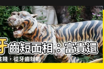 【牙齒短面相】牙齒短面相：富貴還是貧賤，從牙齒就能看出來！