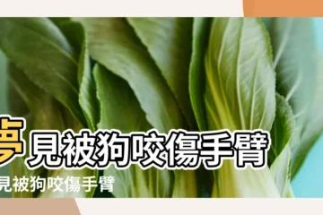 【周公解夢夢到被狗咬胳膊】夢見被狗咬傷手臂 |夢見被狗咬傷手臂 |夢見被狗咬手臂是啥預兆 |