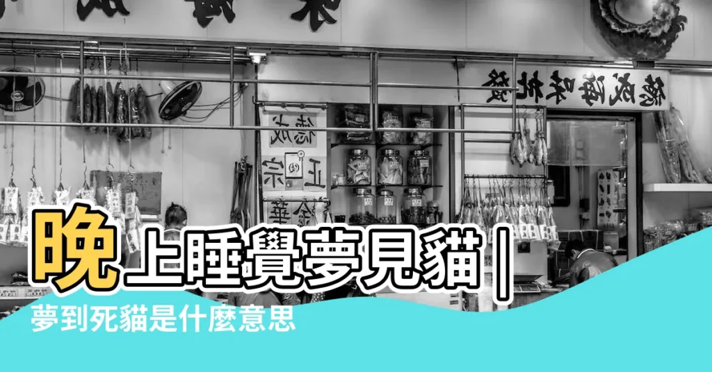 晚上睡覺夢見貓 |夢到死貓是什麼意思 |説明瞭什麼 |【晚上睡覺夢見死貓】
