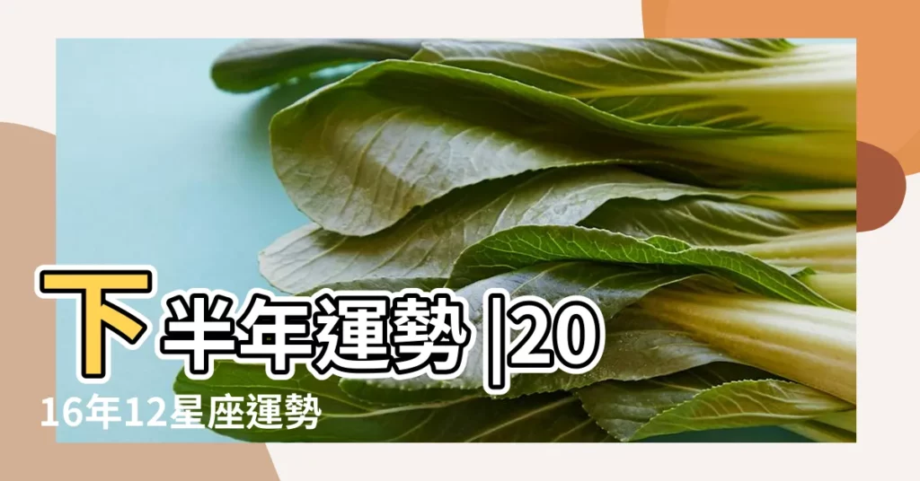 下半年運勢 |2016年12星座運勢全方位解析 |殺破狼2016年12星座運勢整理 |【獅子座和處女座感情運勢2016】