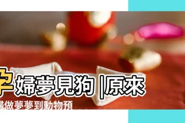 【孕婦夢見狗跑到房間】孕婦夢見狗 |原來孕婦做夢夢到動物預示著這樣的事情要發生 |孕婦夢見狗 |