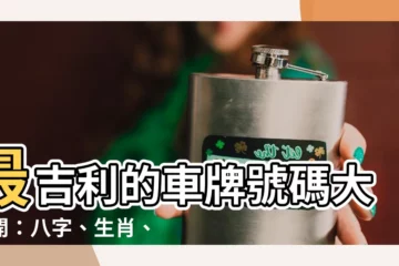 【最好的車牌號碼】最吉利的車牌號碼大公開：八字、生肖、命理一次搞定