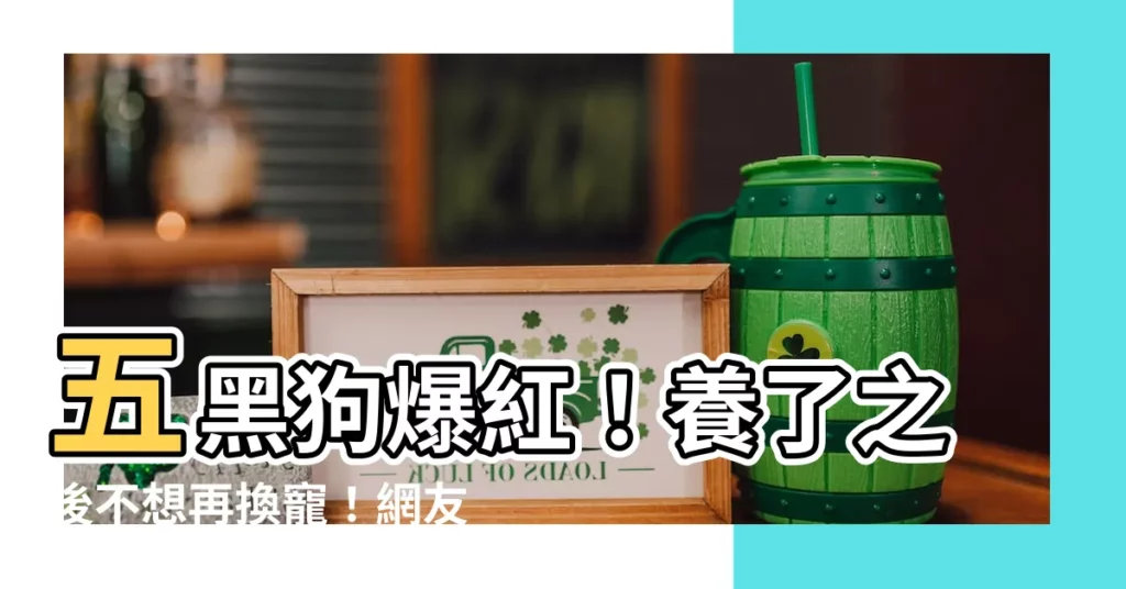 【五黑狗】五黑狗爆紅!養了之後不想再換寵!網友心動:拜託分享飼養秘訣