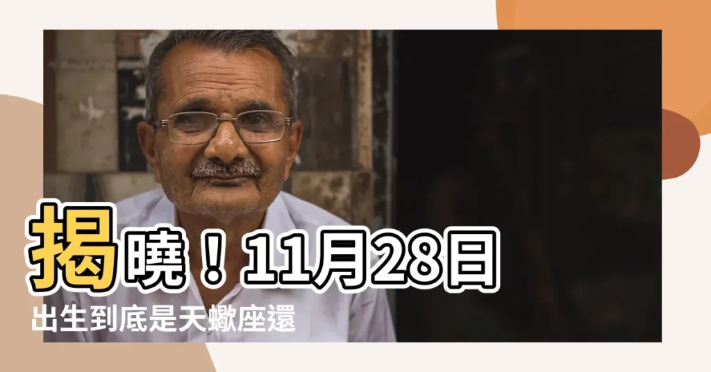 【11月28什麼星座】揭曉！11月28日出生到底是天蠍座還是射手座？