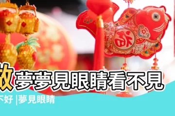 【做夢夢見眼睛看不到】做夢夢見眼睛看不見好不好 |夢見眼睛看不見 |夢到自己的眼睛看不見 |