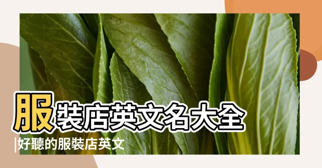 服裝店英文名大全 |好聽的服裝店英文名 |開服裝店英文名字大全94個 |【衣服店英文名中國】