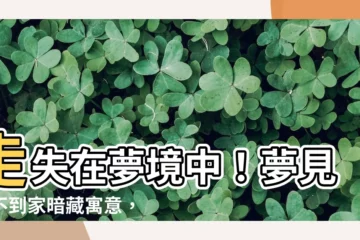【夢見找不到家】走失在夢境中！夢見找不到家暗藏寓意，揭開解夢密碼