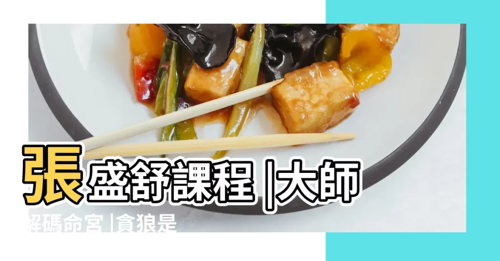 張盛舒課程 |大師解碼命宮 |貪狼是流氓命 |【廉貞貪狼殺破狼】