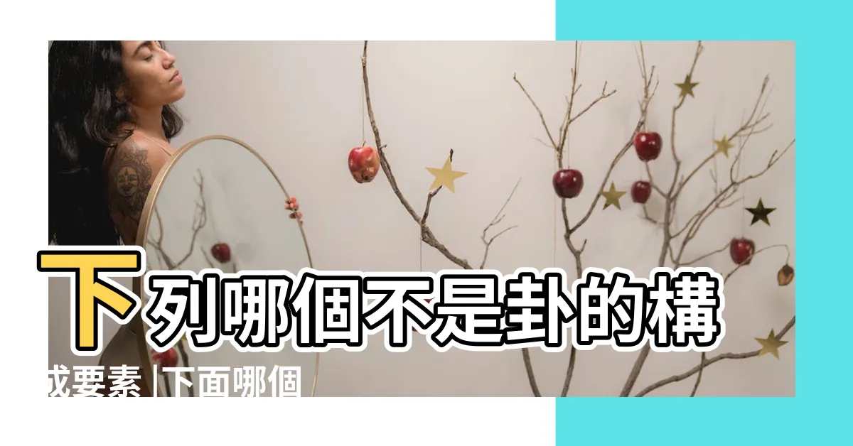 【卦的構成要素】下列哪個不是卦的構成要素 |下面哪個不是卦的構成要素 |