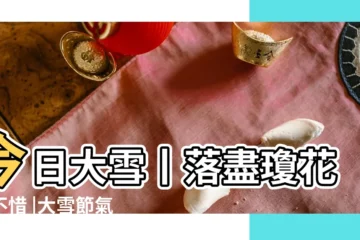 【2017年大雪節】今日大雪丨落盡瓊花天不惜 |大雪節氣的含義 |2017年大雪節氣在幾時 |