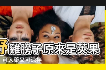 【野雞膀子】野雞膀子原來是莢果蕨！可入藥又可涼拌的珍貴山野菜
