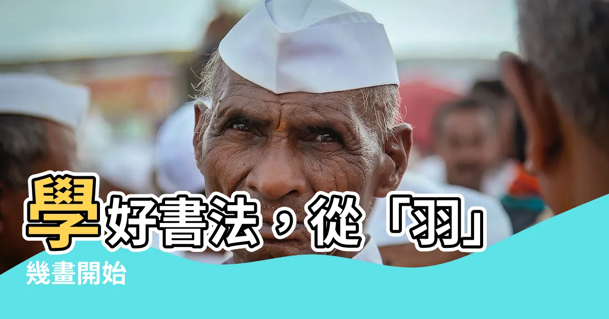 【羽幾畫】學好書法，從「羽」幾畫開始