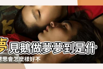 【夢見好多鵝什麼意思】夢見鵝做夢夢到是什麼意思會怎麼樣好不好 |夢見很多鵝 |夢見一羣鵝 |