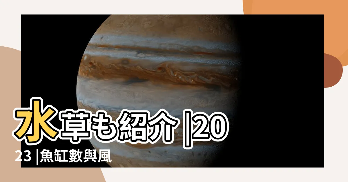 【魚生bb風水】水草も紹介 |2023 |魚缸數與風水 |