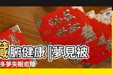 【夢見住的地方有好多腸】臟腑健康 |夢見被殺 |多夢失眠愈睡愈累 |