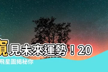 【2026飛星圖】窺見未來運勢！2026 飛星圖揭秘你的十年財富、桃花