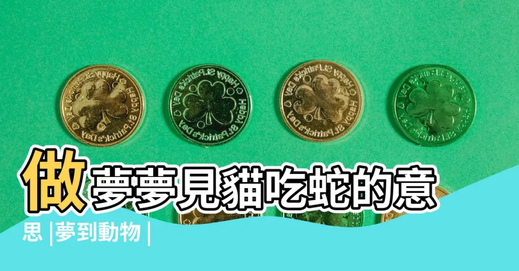 做夢夢見貓吃蛇的意思 |夢到動物 |夢見貓吃蛇 |【男人夢到小貓吃蛇】
