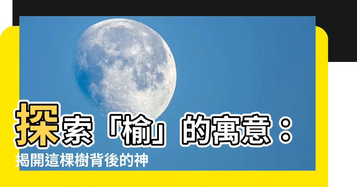 【榆的意思】探索「榆」的寓意：揭開這棵樹背後的神秘故事
