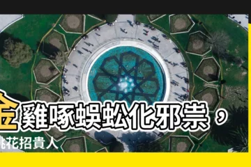 【金雞啄蜈蚣 風水】金雞啄蜈蚣化邪祟，避桃花招貴人