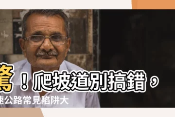 【爬坡道意思】驚！爬坡道別搞錯，高速公路常見陷阱大解析！