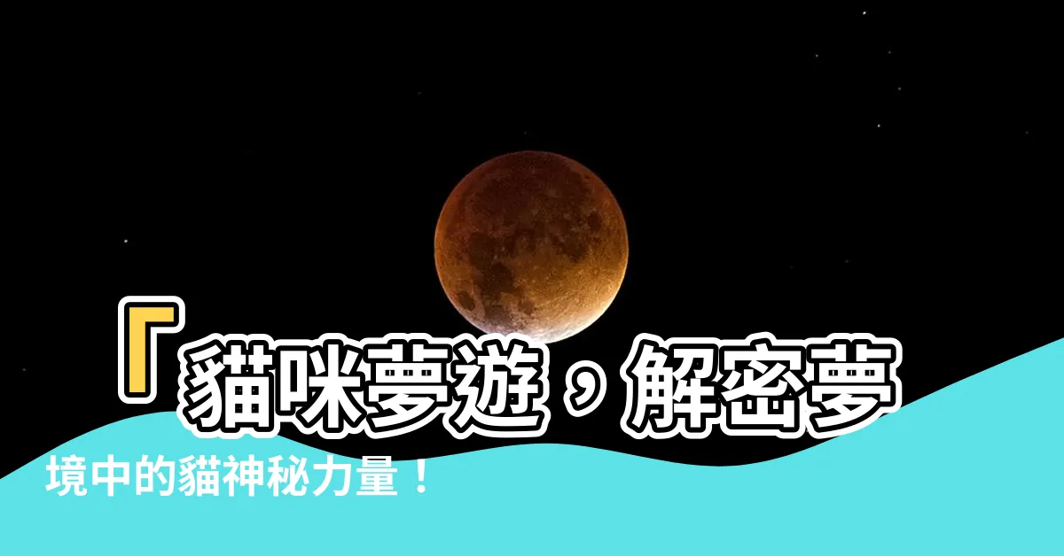 【夢到貓】「貓咪夢遊，解密夢境中的貓神秘力量！」