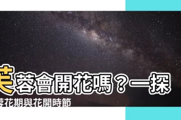 【芙蓉會開花嗎】芙蓉會開花嗎？一探芙蓉花期與花開時節的秘密