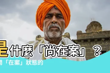 【在案】是什麼「尚在案」？揭開「在案」狀態的驚人秘密！